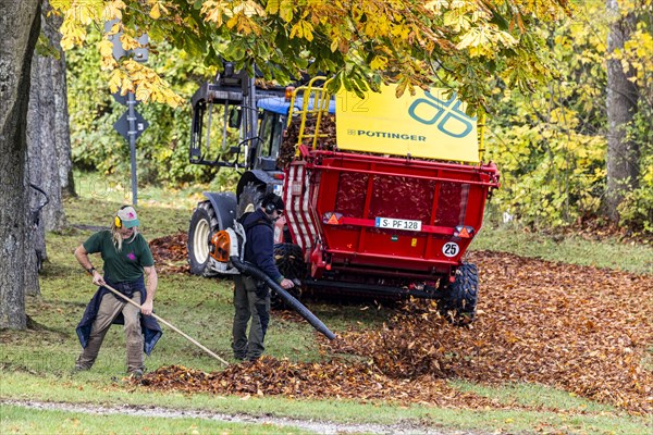 Autumn is the time for leaf blowers