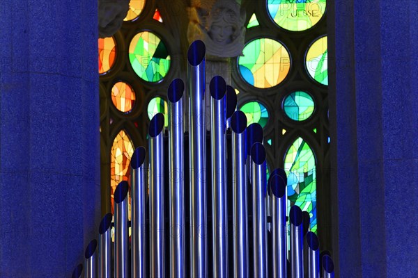 Organ
