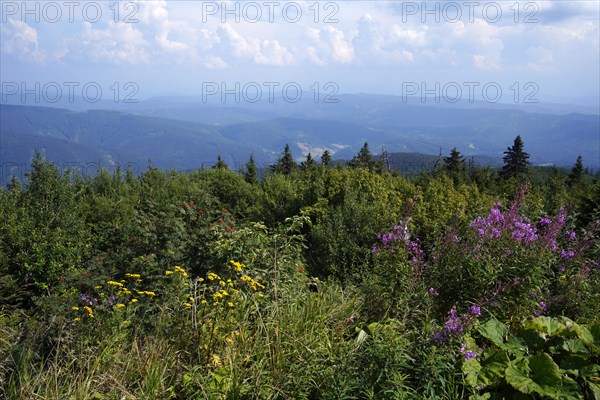 Moravian-Silesian Beskydy