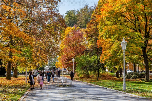 Promenade in autumn spa park