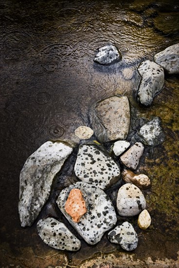 Art with natural objects