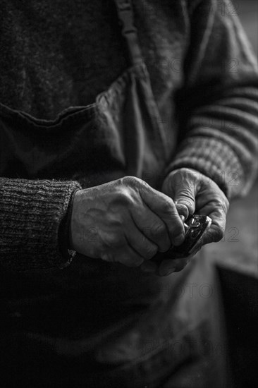 Monochrome photo of hands of Senior violinmaker wearing apron holding a tool chisel in workshop in Cremona