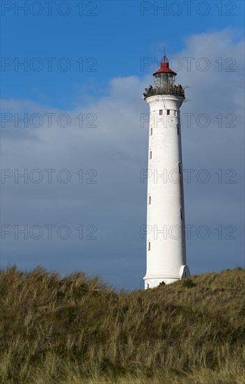 Lighthouse