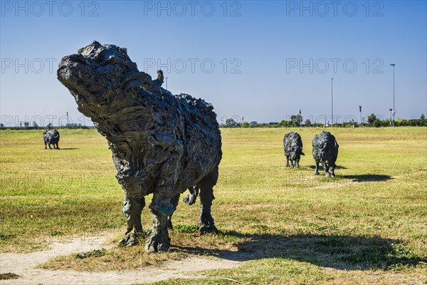 Buffalo sculptures in Parco Papa Giovanni