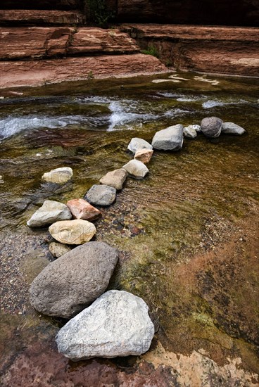 Art with natural objects