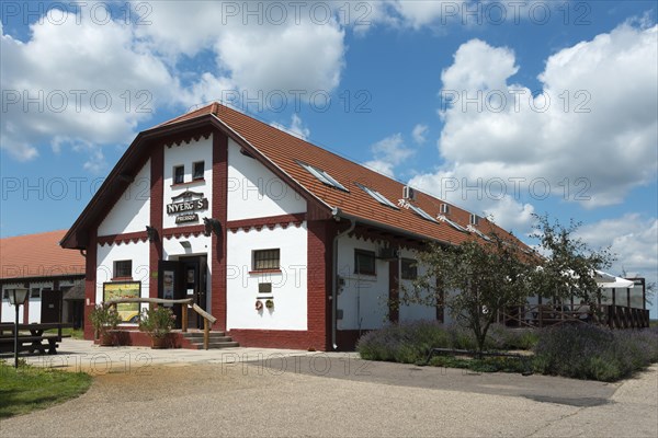 Mata Stud Farm
