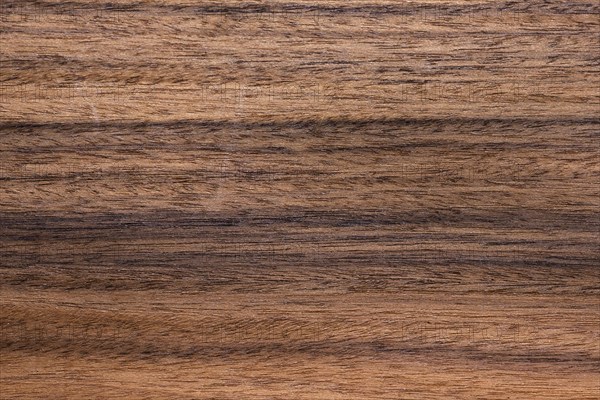 Brazilian Rosewood
