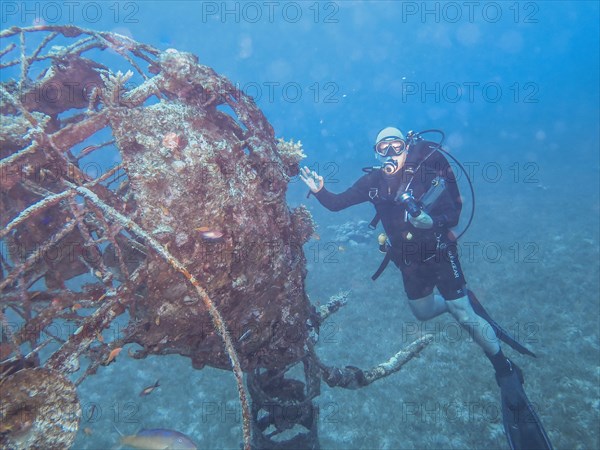Diver at underwater sculpture elephant