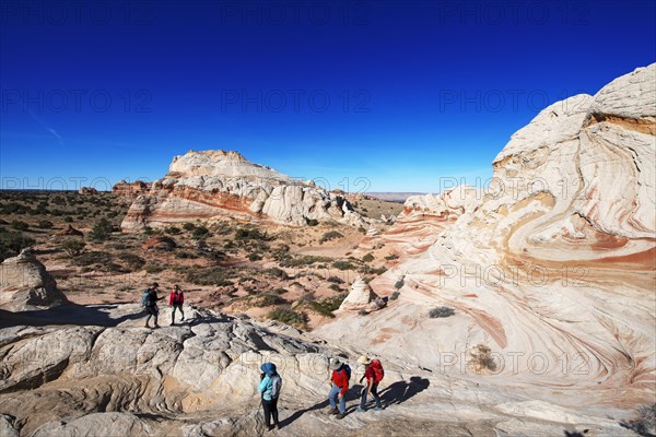 Hiker in White Pocket Canyon