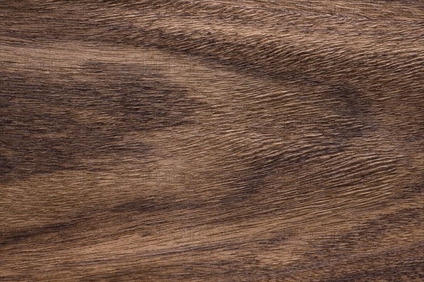 Brazilian Rosewood