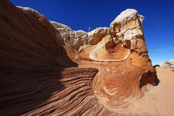 Hiker in White Pocket Canyon