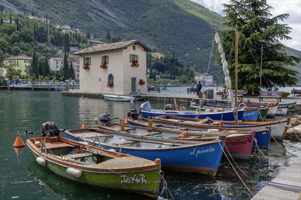 Rowing boats in the harbour