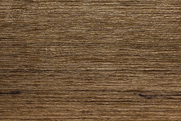 Wood grain of teak