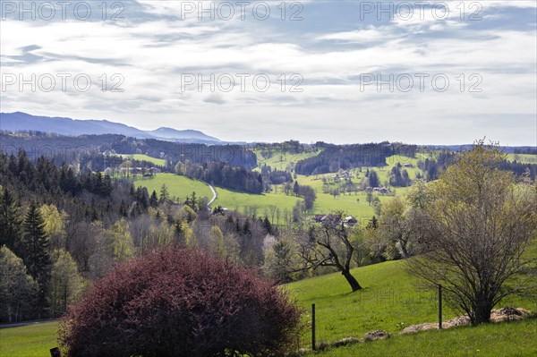 Near Hausham