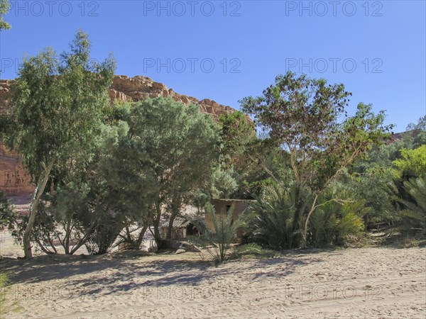 Oasis Ein Hudra