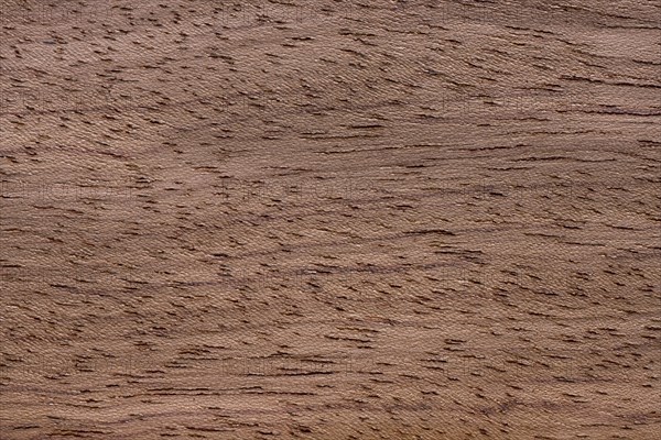Wood grain of bubinga