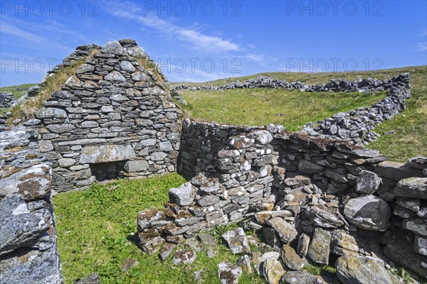 Remains of croft