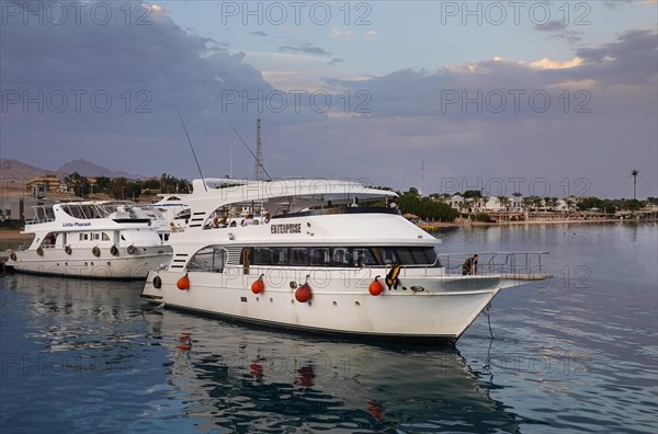 Dive boats