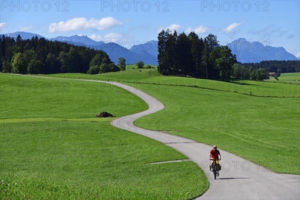 Cyclist on the Romantic Road near Steingaden