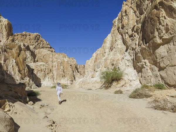 Bedouin in the White Canyon