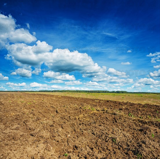 Freshly ploughed field in spring
