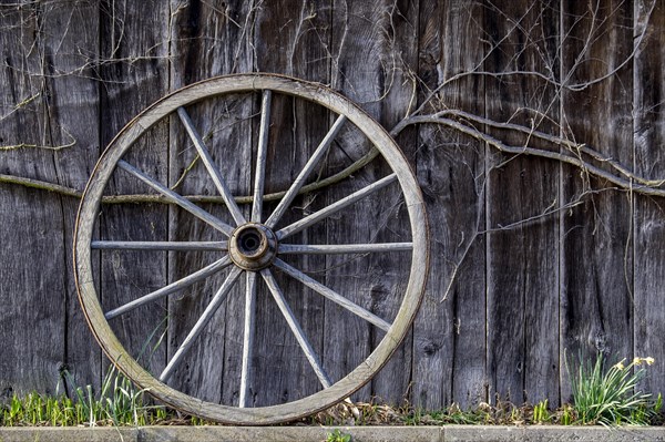Old wagon wheel leaning against a barn wall