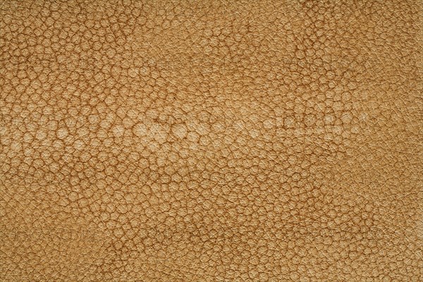 High rezolution texture of leather