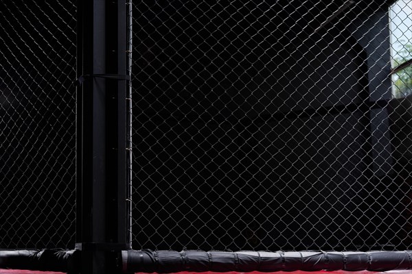 Image of an octagon. Concept of boxing