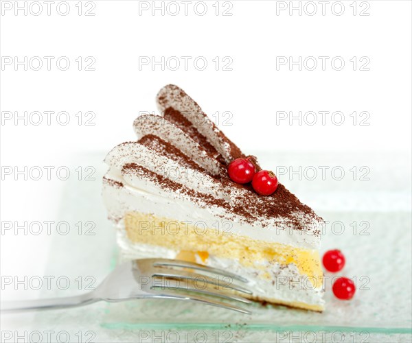 Fresh ribes and whipped cream dessert cake slice with cocoa powder on top