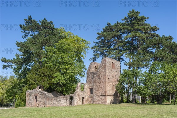 Ruins of the church of St-Jean-Baptiste in Munsterling Park