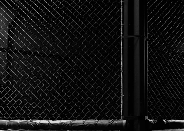 Image of an octagon. Concept of boxing