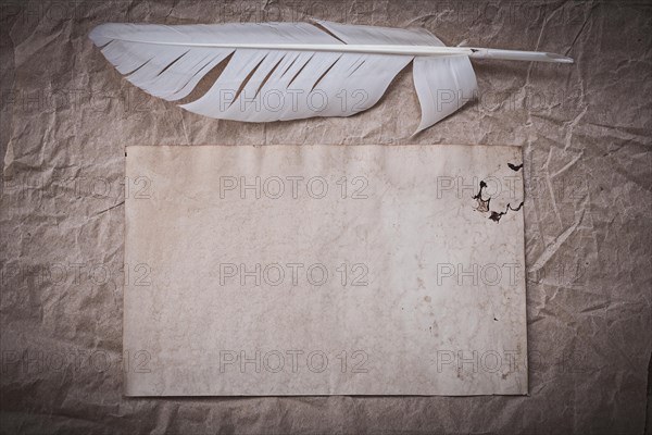 Antique sheet feather on crumpled wrapping paper