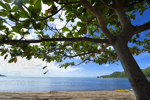 Beach with tree shade
