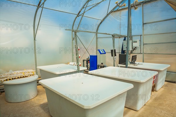 Tanks with pesticides in the greenhouse