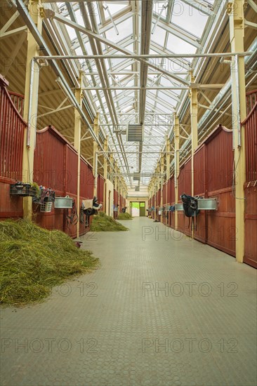 Horse stables