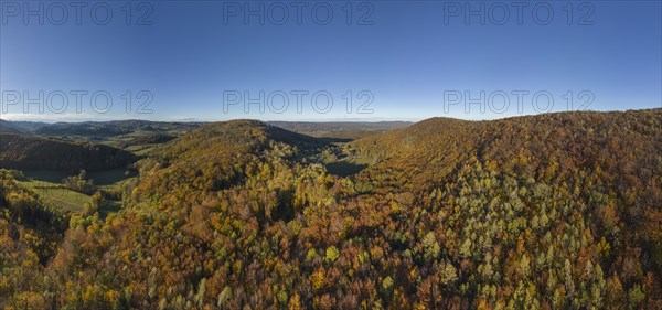 Aerial view of a colourful autumn forest looking towards Holzschlag