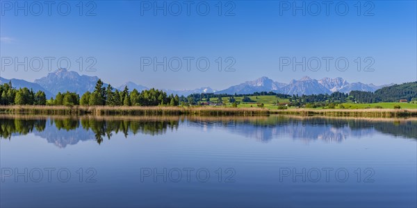 Panorama at Schmutterweiher