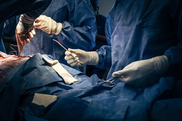 Surgeons and instrumental assistant are performing a surgical operation in the emergency room of a hospital. An assistant hands scissors and instruments to the surgeons during the operation