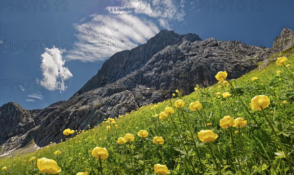A summery mountain landscape with blue sky