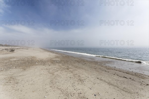 Misty mood
