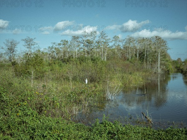 Water arm