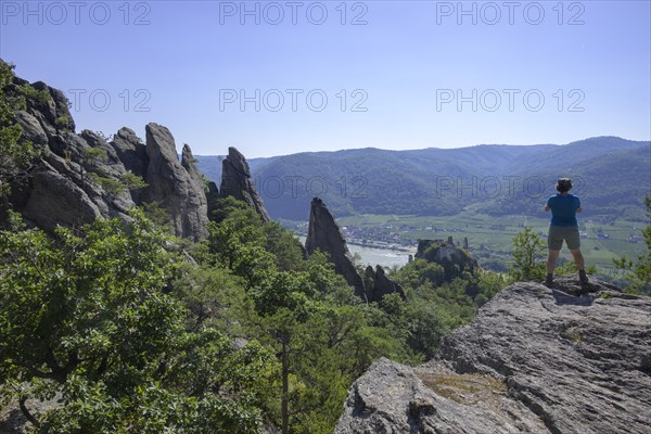 Rock garden above the ruins