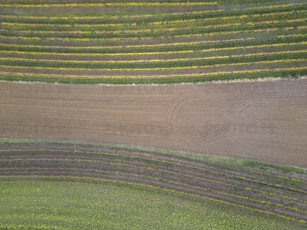 Aerial view of fields and vines on the Grossauerhoehe