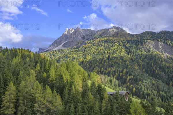 Peitlerkofel