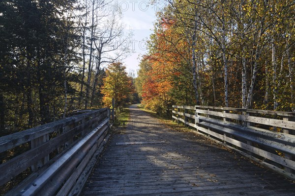 Cycling path on the Trans Canada Trail