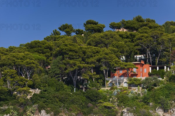 Villa area at Cap Ferrat