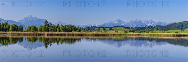 Panorama at Schmutterweiher