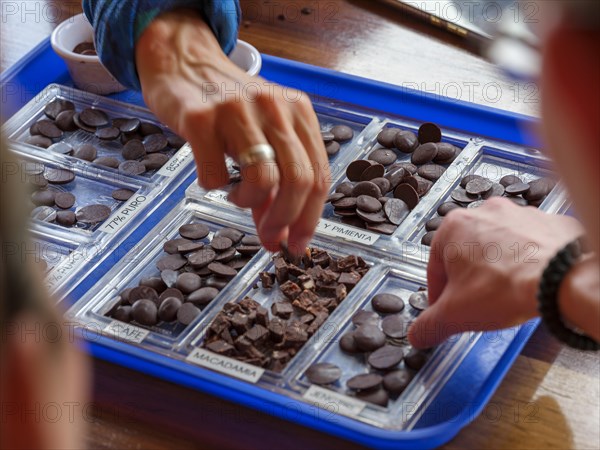 Hands reach for cocoa tasting