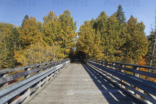 Cycling path on the Trans Canada Trail