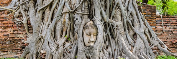 Sandstone head of a Buddha statue